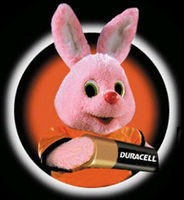 Duracell Picture.jpg