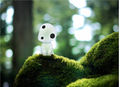 Kodama Picture.jpg