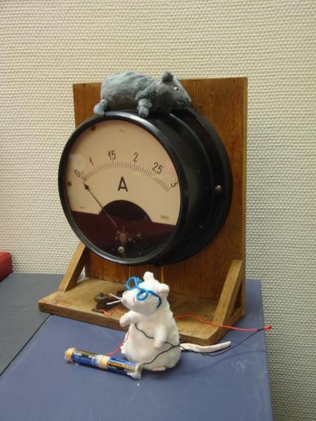 Bestand:Lab rat internet meter.jpg