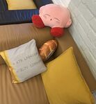 Tool Loungekussentjes Picture.jpg