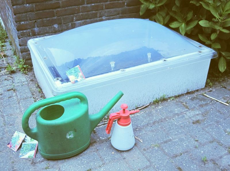 Bestand:Koepelkasje Picture.jpg