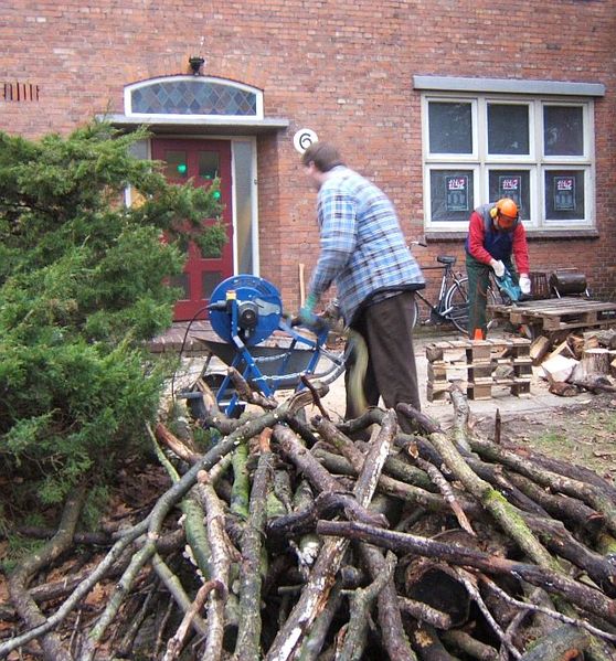 Bestand:Zaagtiviteit.JPG