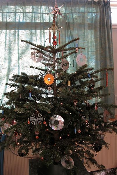 Bestand:Hele boom.jpg