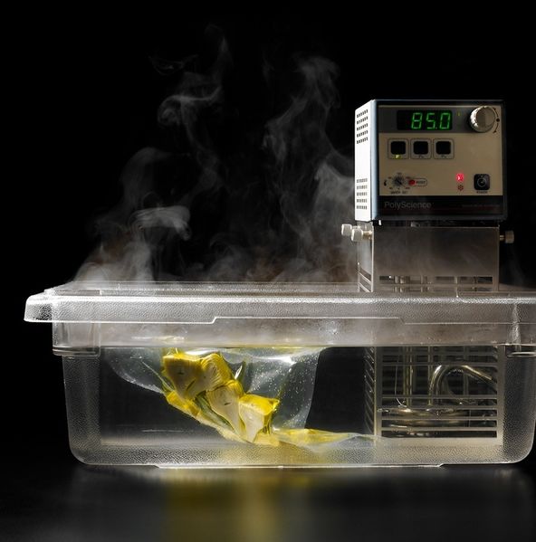Bestand:Sous-vide Thingamajig Picture.jpg