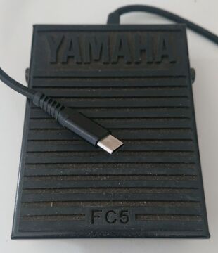 Footswitch Picture.jpg