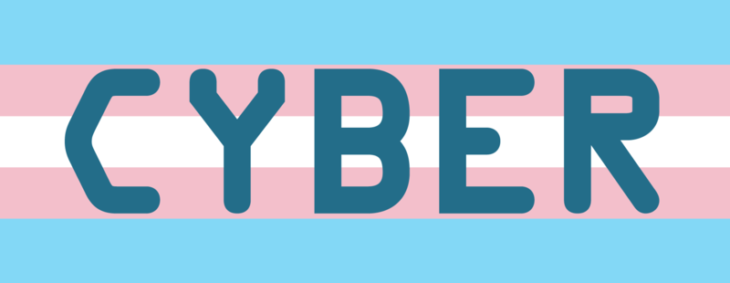 Bestand:15 cyber trans.png